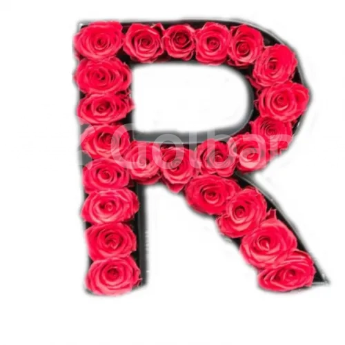 باکس گل رز قرمز حرف R
