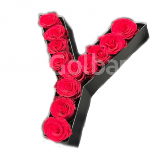 باکس گل رز قرمز حرف Y