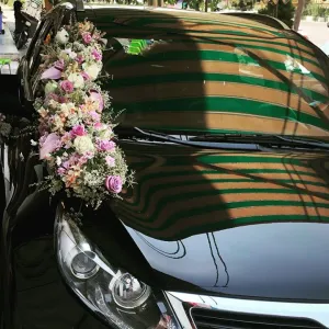 ماشین عروس مدل 10