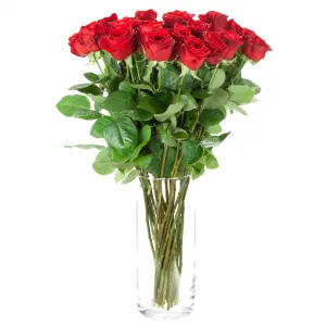 اشتراک گل رز