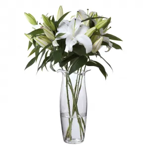 اشتراک گل اوریانتال