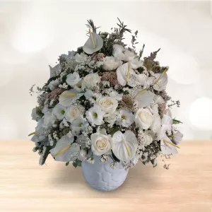 باکس با گلدان سرامیکی رز آنتوریوم