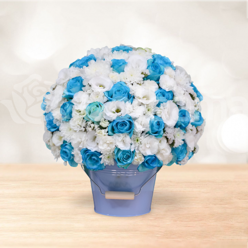 باکس گل رز لیسین توس آبی سفید