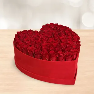 باکس گل رز هلندی قرمز طرح قلب بزرگ