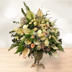 جام گل رز آنتریوم نباتی