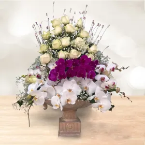 جام گل کوتاه رز ارکیده سفید بنفش